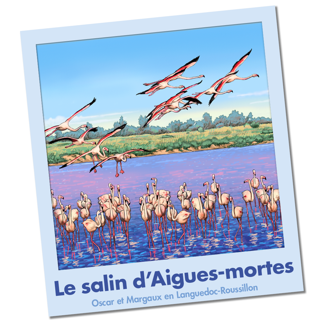 Article_Oscar_et_Margaux_Conseils_Voyages_Aigues_Mortes