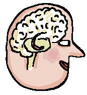 Article_Max_et_Lili_Calins_Cerveau