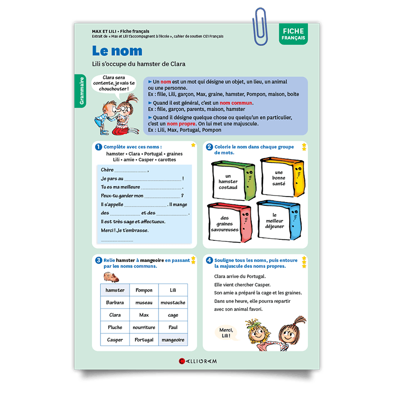 Max et Lili;fiche;soutien scolaire;francais;grammaire;le nom;CE1