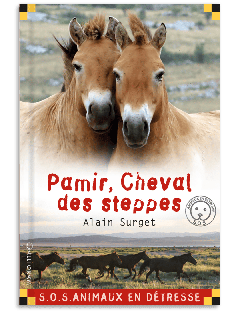 Pamir, Cheval des steppes
